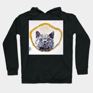 Peeping Tom cat Hoodie